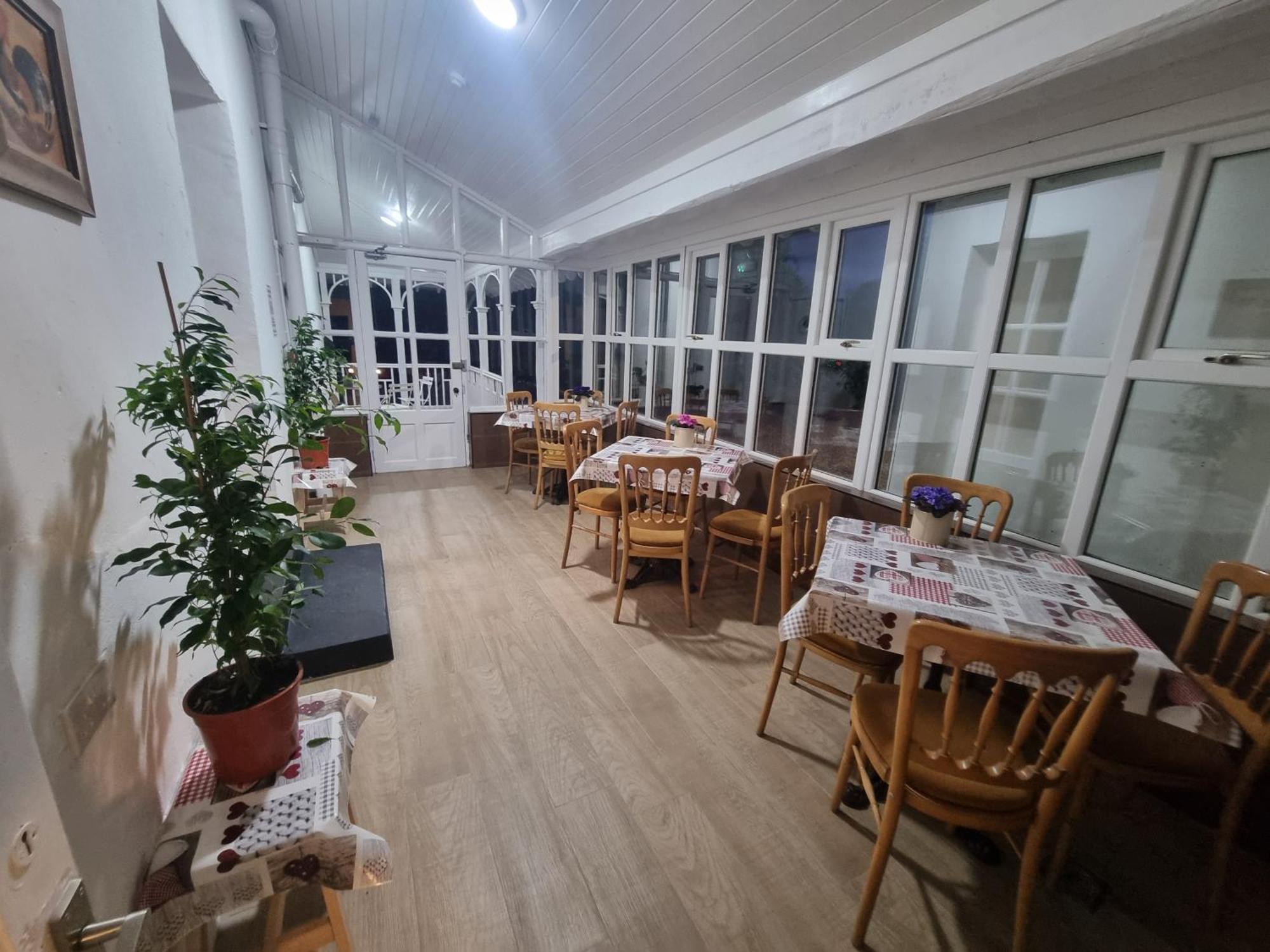 Guest house The Monkey Puzzle
